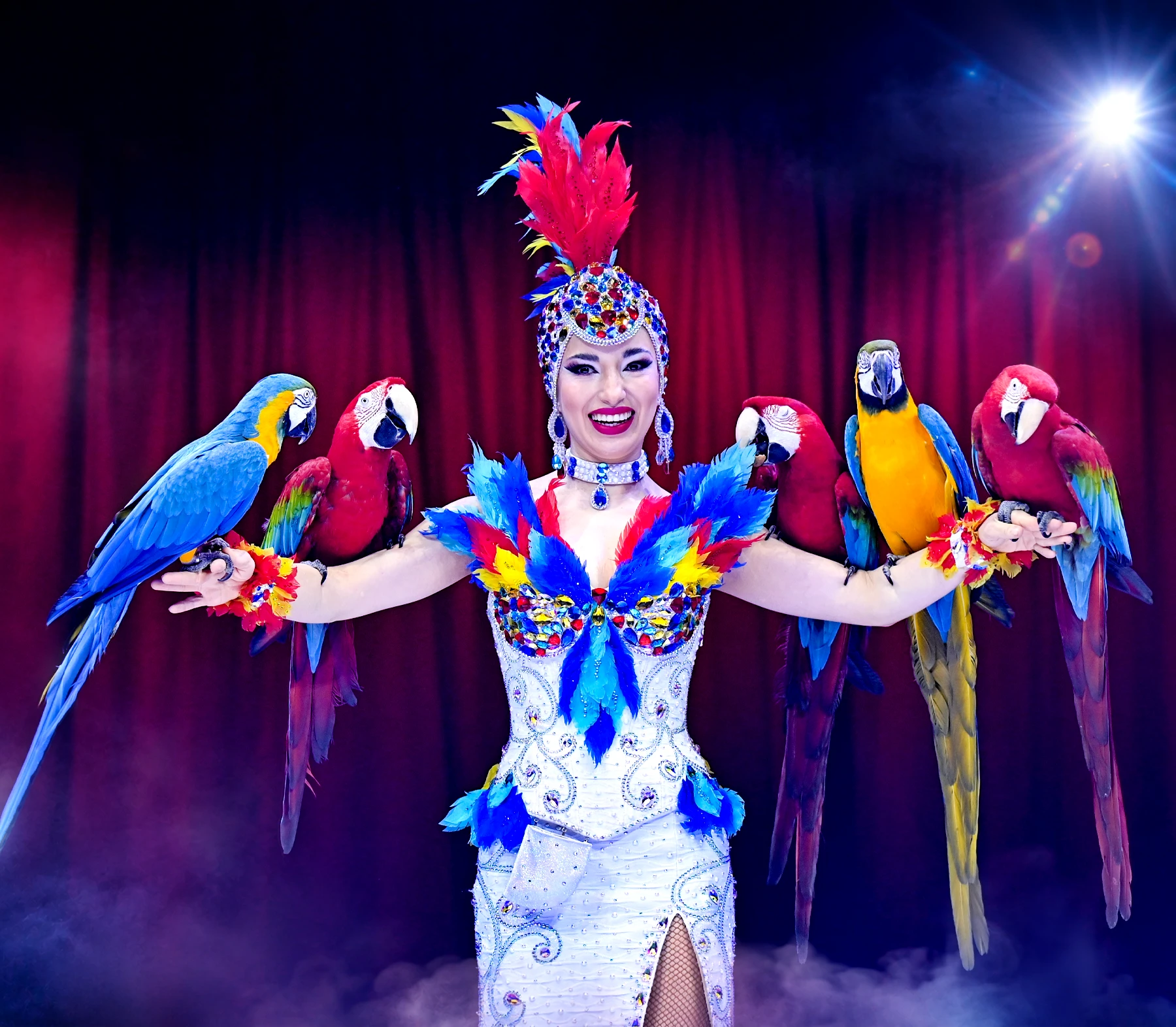 Cirkus Arenas logoklovn