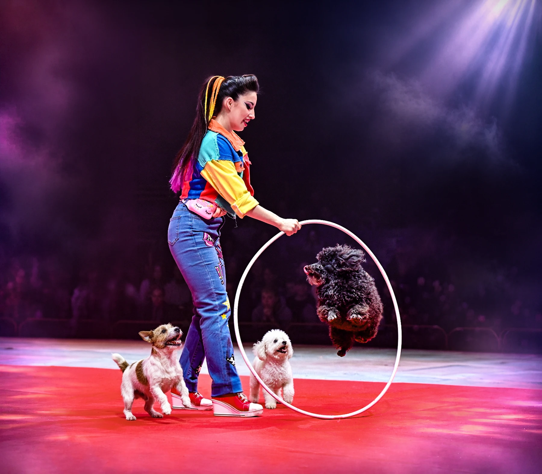 Cirkus Arenas logoklovn